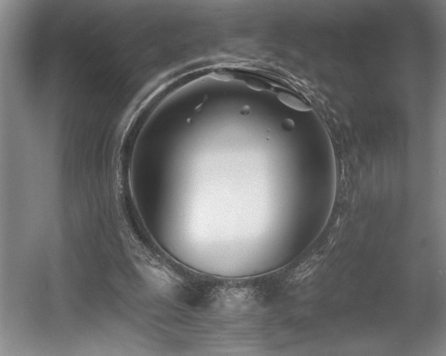 X0000056020247200508191335