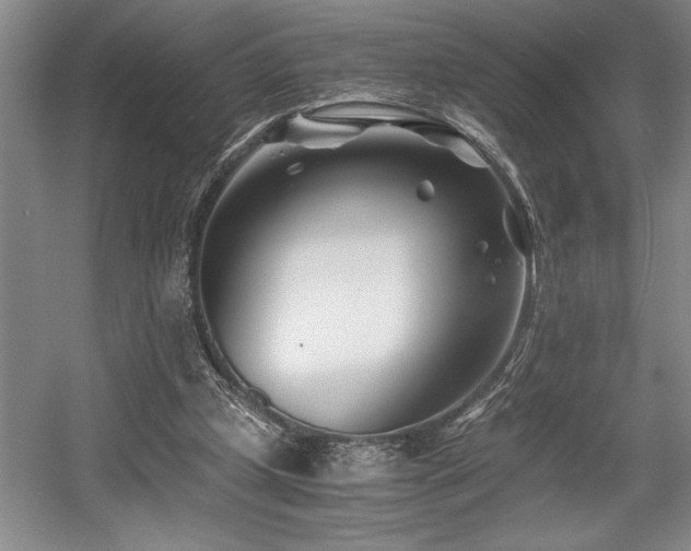 X0000056020249200508191335
