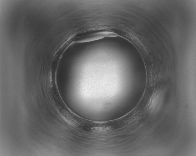 X0000056020251200508191335