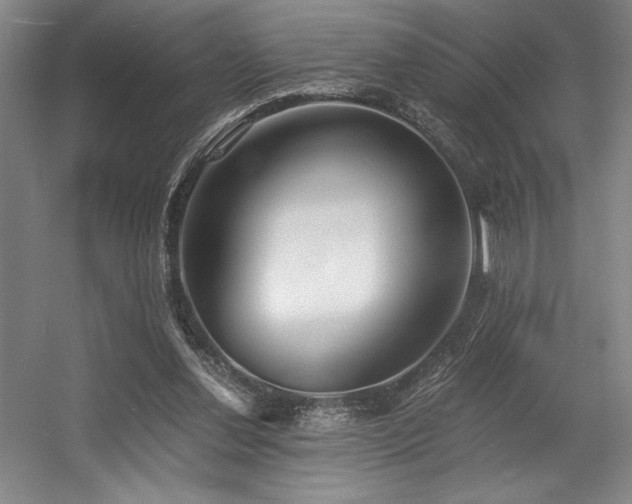 X0000056020252200508191335