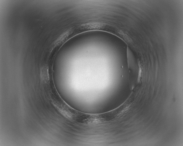 X0000056020254200508191335