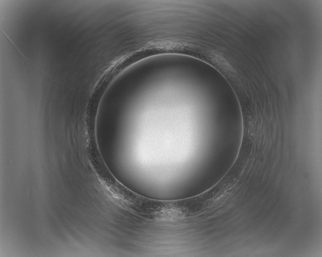 X0000056020256200508191335