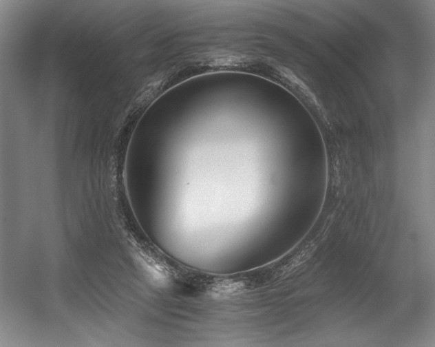 X0000056020257200508191335