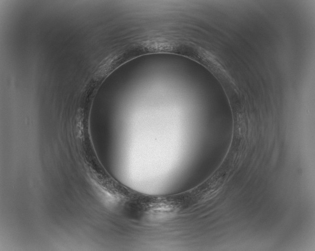 X0000056020259200508191335
