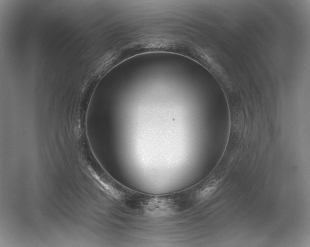 X0000056020261200508191335