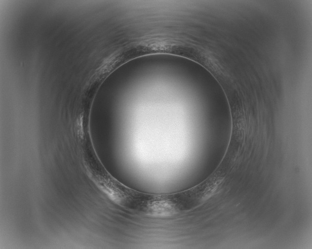 X0000056020262200508191335