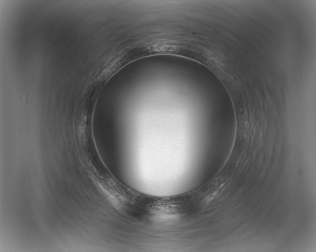 X0000056020263200508191335