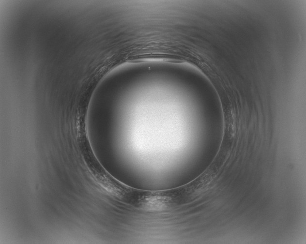 X0000056020268200508191335