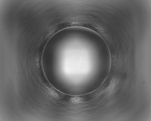 X0000056020269200508191335