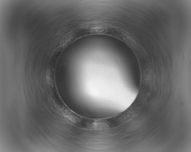 X0000056020270200508191335