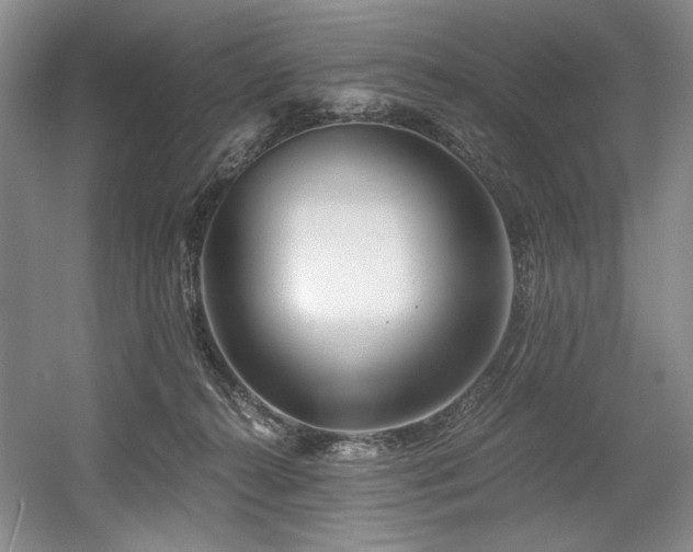X0000056020272200508191335
