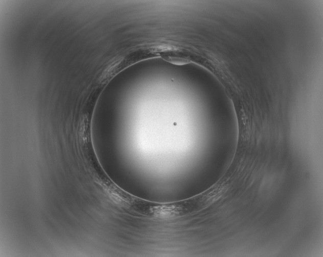 X0000056020273200508191335