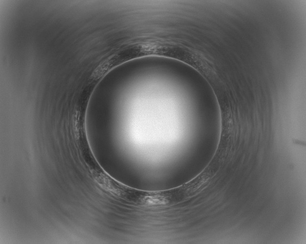 X0000056020275200508191335