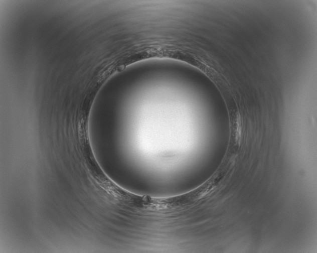 X0000056020276200508191335