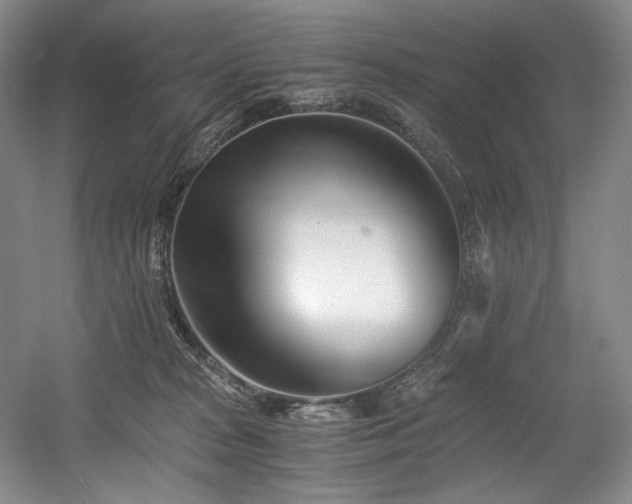 X0000056020277200508191335