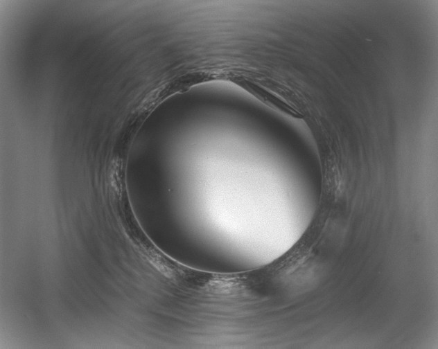 X0000056020280200508191335