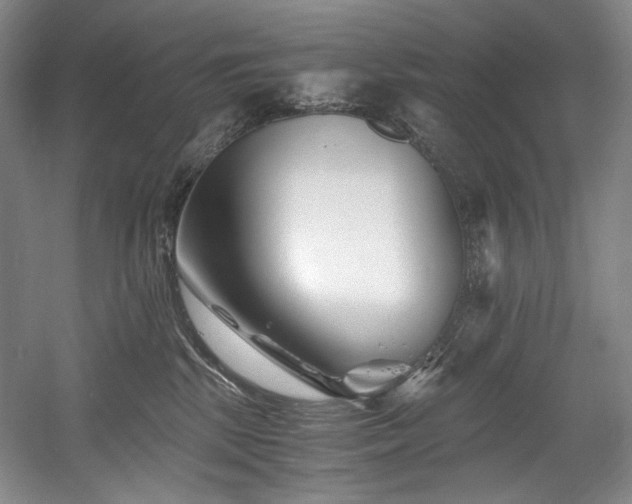 X0000056020281200508191335