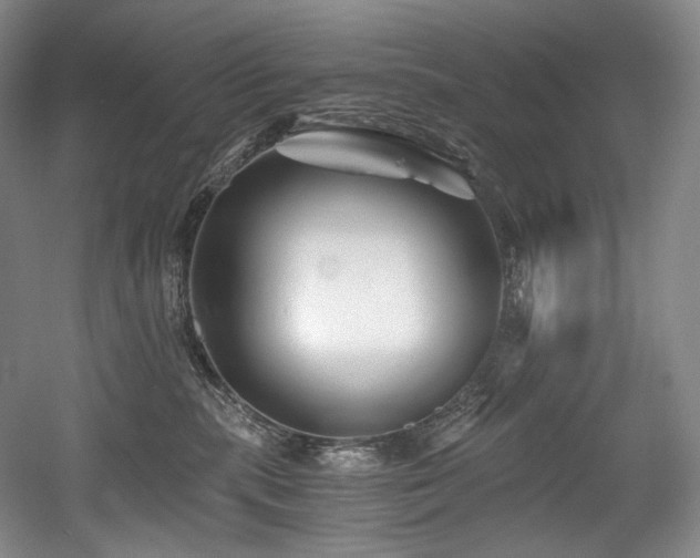 X0000056020283200508191336