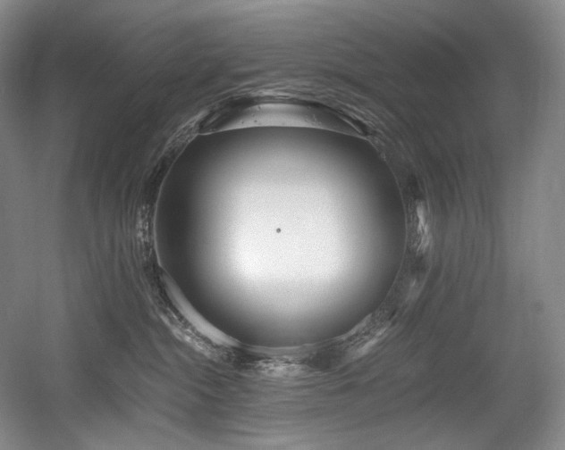 X0000056020284200508191336