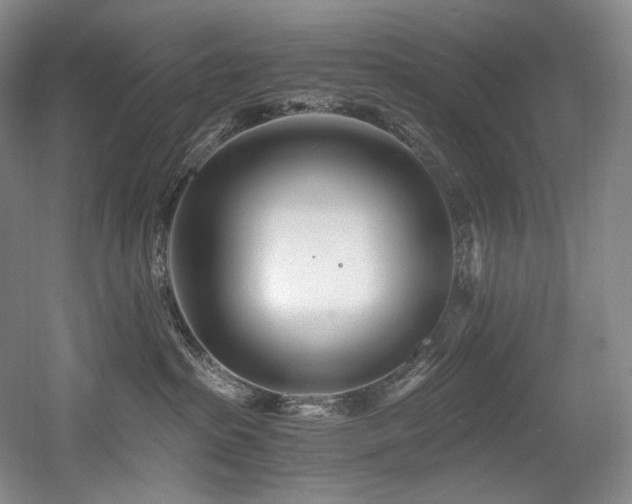 X0000056020285200508191336