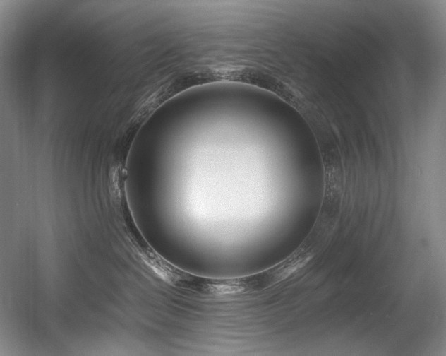 X0000056020286200508191336