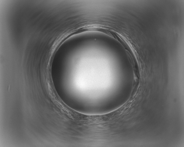 X0000056020289200508191335