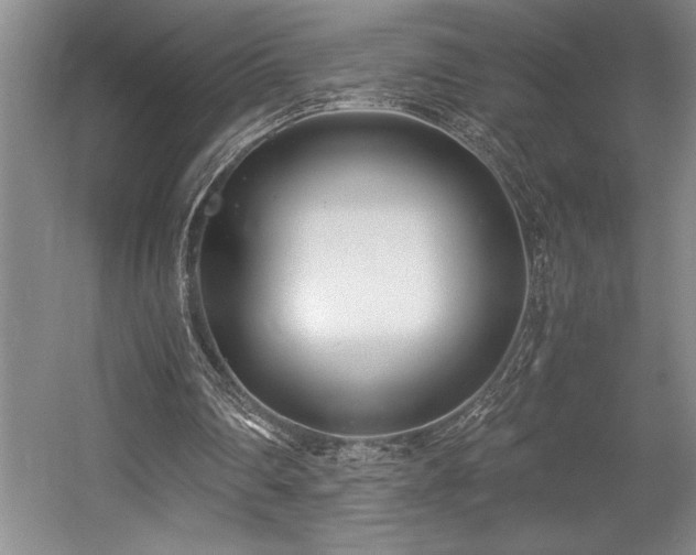 X0000056020290200508191335