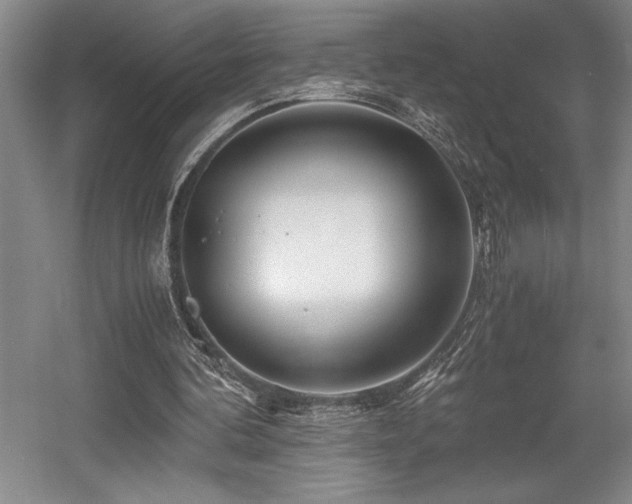 X0000056020292200508191335
