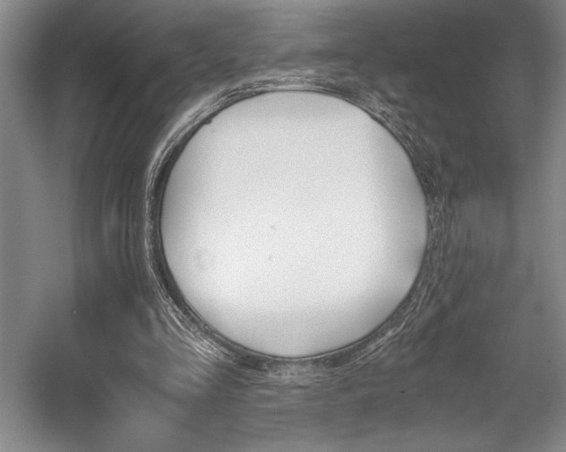 X0000056020293200508191335