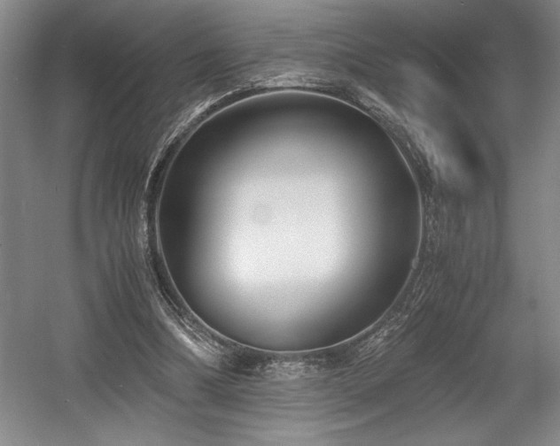 X0000056020298200508191335