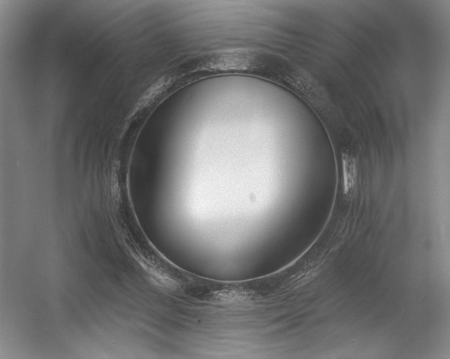 X0000056020300200508191335