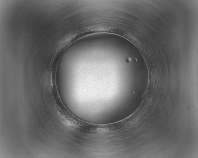 X0000056020302200508191335