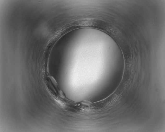 X0000056020303200508191335