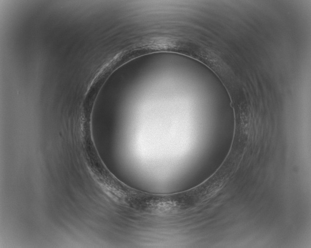 X0000056020304200508191335