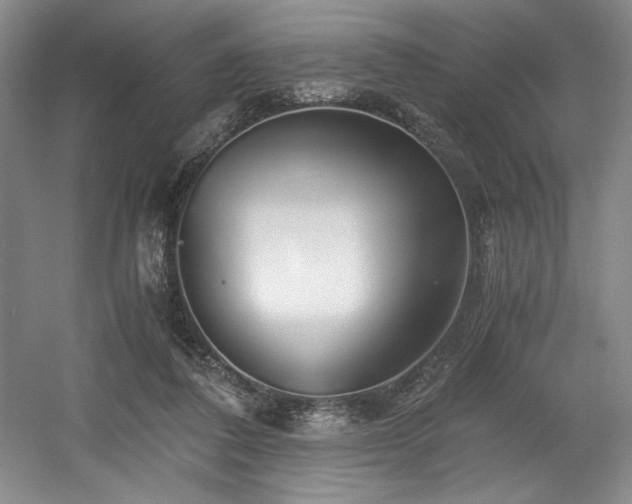 X0000056020308200508191334