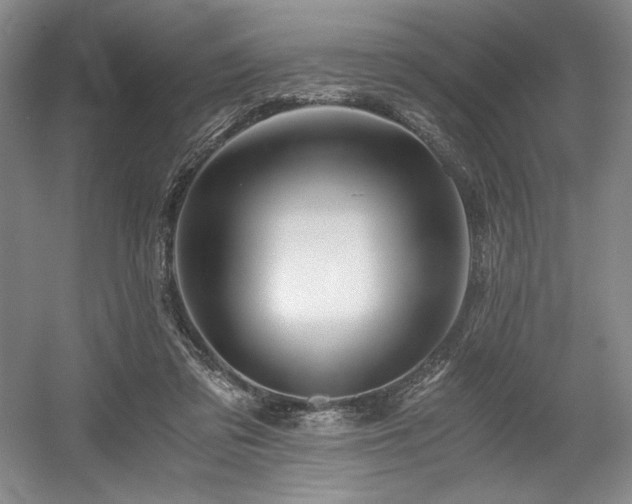 X0000056020309200508191334