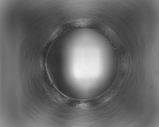 X0000056020312200508191334