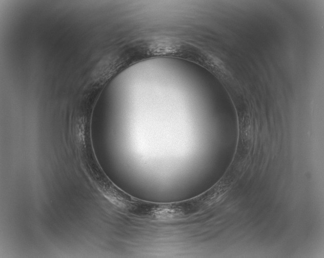 X0000056020315200508191334