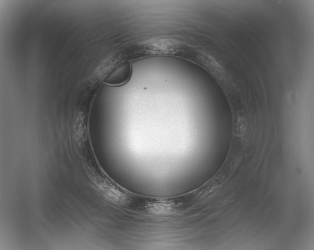 X0000056020318200508191334