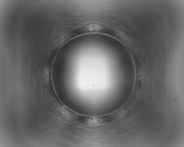 X0000056020321200508191334