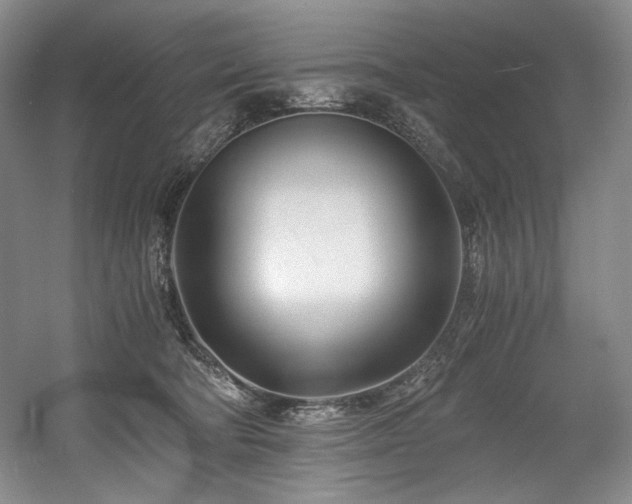 X0000056020322200508191334