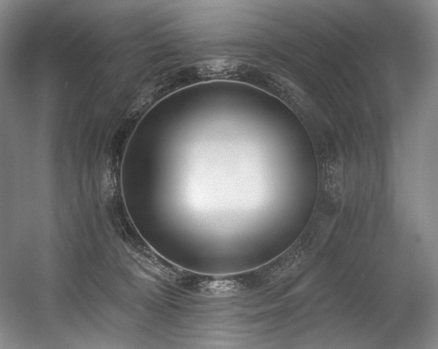 X0000056020324200508191334