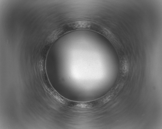 X0000056020326200508191334