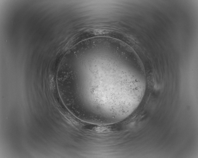 X0000056020327200508191334