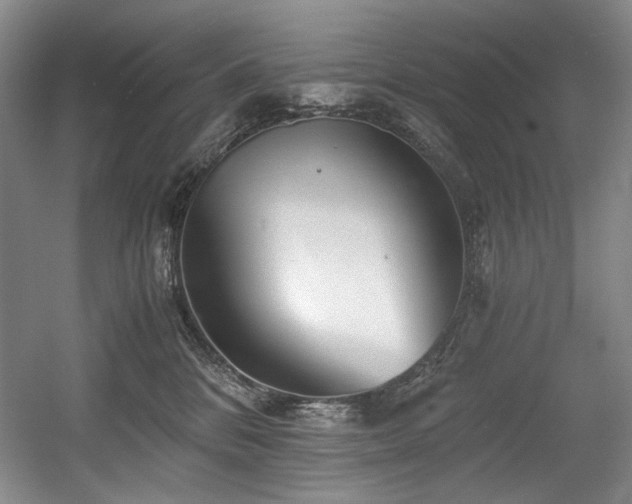 X0000056020328200508191334