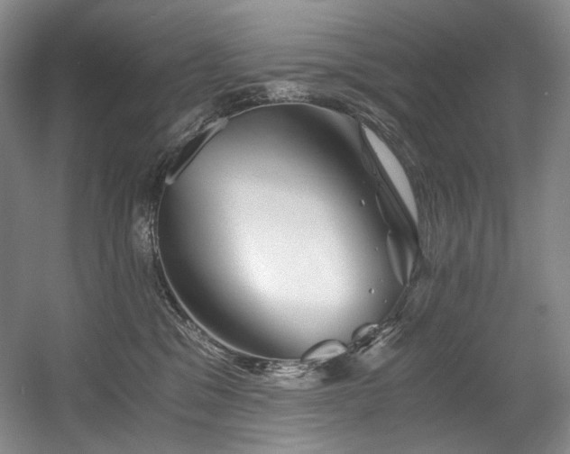 X0000056020329200508191334