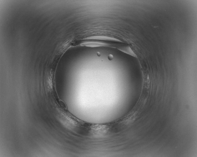 X0000056020334200508191334