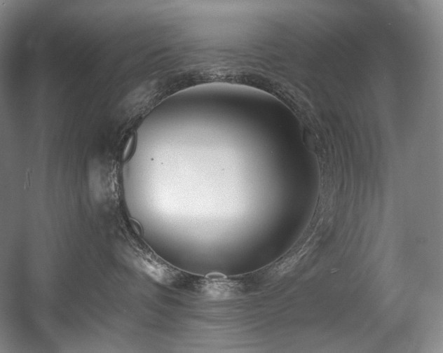 X0000056020336200508191334