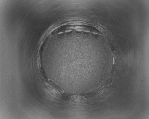 X0000056020339200508191333