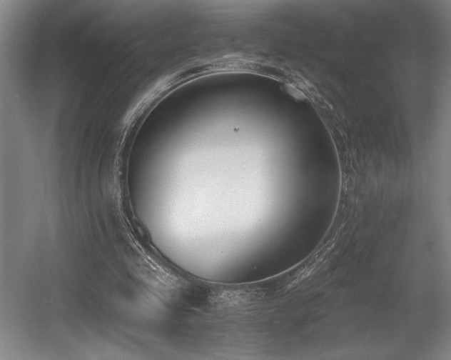 X0000056020341200508191333